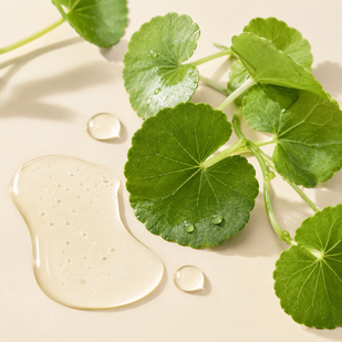 Centella asiática